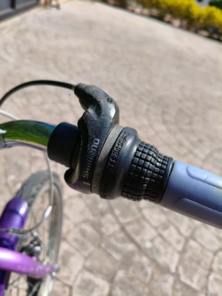 Bicicleta infantil morada 20 pulgadas