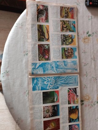 Álbum completo Visión de la naturaleza