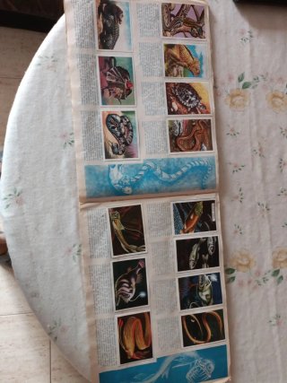 Álbum completo Visión de la naturaleza