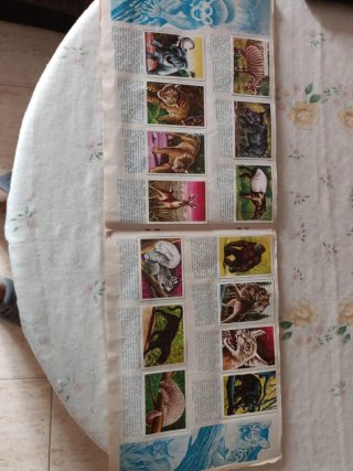 Álbum completo Visión de la naturaleza