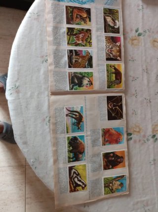 Álbum completo Visión de la naturaleza