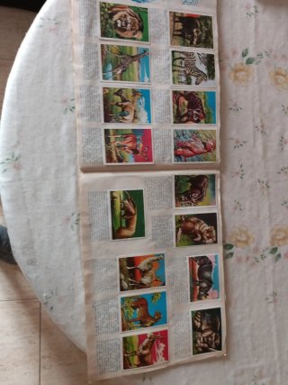 Álbum completo Visión de la naturaleza