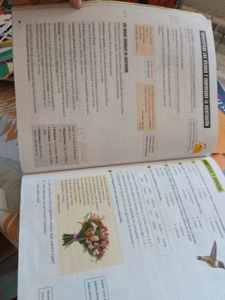 Lengua Castellana y Literatura 5, Tercer Ciclo ...