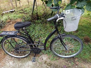 Bicicleta de paseo negra