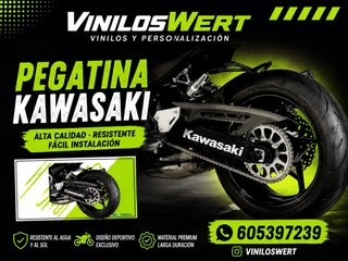 Vinilos Basculante Kawasaki Z900