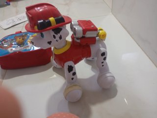 Lote Patrulla Canina Paw Patrol