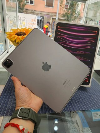 iPad Pro 11 4ta Gen Wi-Fi + Cellular