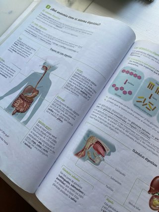Biología y Geología. 3 Secundaria. Revuela. Com...