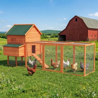 Gallinero Grande Madera Exterior con 2 Nidos