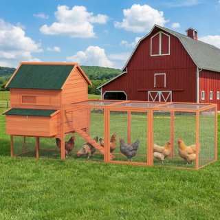 Gallinero Grande Madera Exterior con 2 Nidos