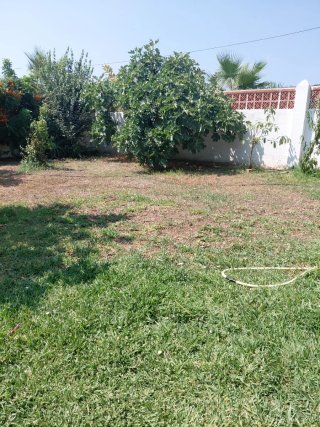 Espacio para huerto