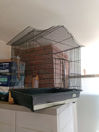 Jaula grande para pájaros (regalo otra y nido)