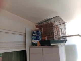 Jaula grande para pájaros (regalo otra y nido)