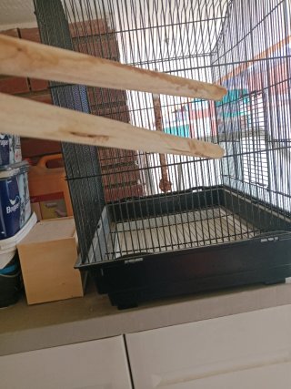 Jaula grande para pájaros (regalo otra y nido)