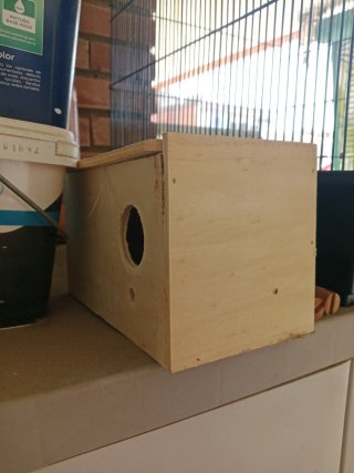Jaula grande para pájaros (regalo otra y nido)