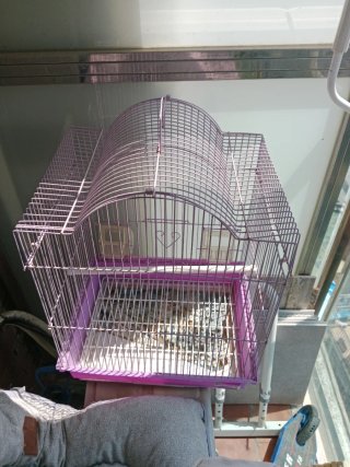 Jaula grande para pájaros (regalo otra y nido)