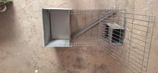 Jaula para hurones o animales pequeños