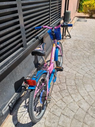 Bicicleta infantil 20 pulgadas rosa