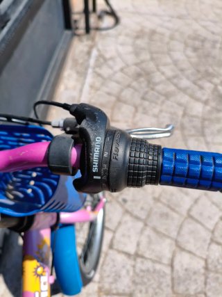 Bicicleta infantil 20 pulgadas rosa