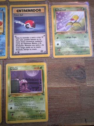 14 Cartas 1ª Edición Base Set Jungla y Fosil