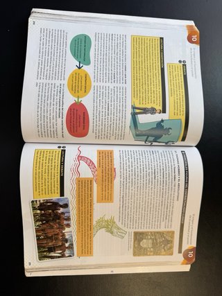 Historia de la Filosofía 2