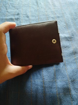 Cartera Marrón