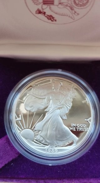Deslumbrante Oz pura plata PROOF American Eagle 89
