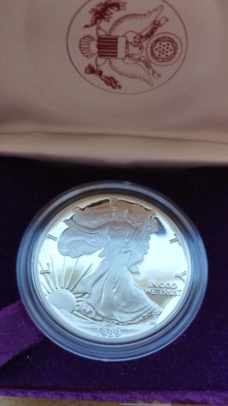 Deslumbrante Oz pura plata PROOF American Eagle 89