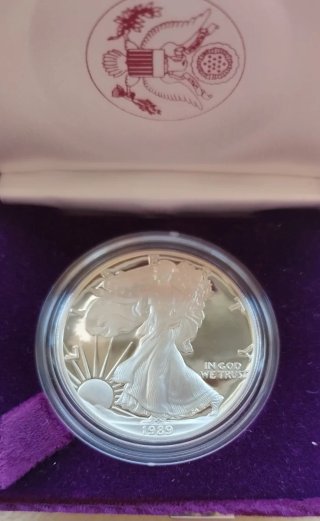 Deslumbrante Oz pura plata PROOF American Eagle 89