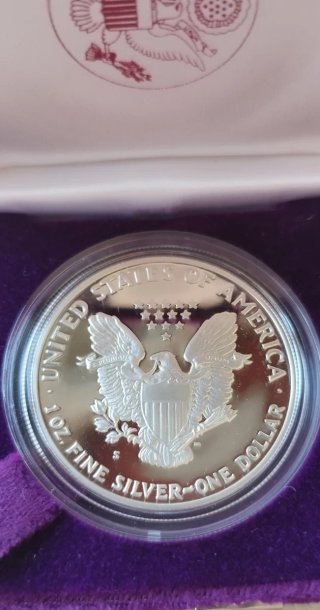 Deslumbrante Oz pura plata PROOF American Eagle 89