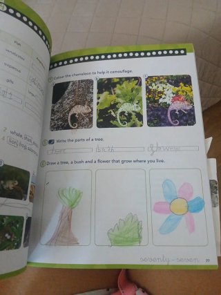 Libros Anaya y bruño 2 primaria. Lote