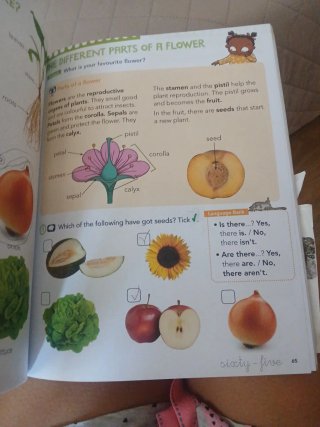 Libros Anaya y bruño 2 primaria. Lote