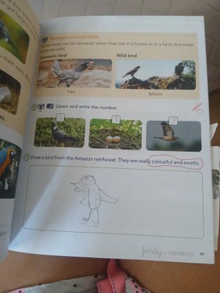 Libros Anaya y bruño 2 primaria. Lote