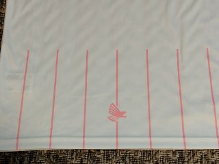 Camiseta Palermo