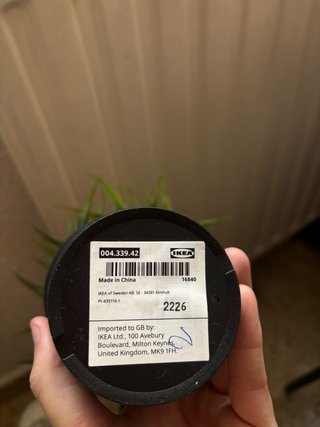 Planta artificial decorativa negra