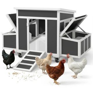 Gallinero Exterior 147x93,5x89,5cm