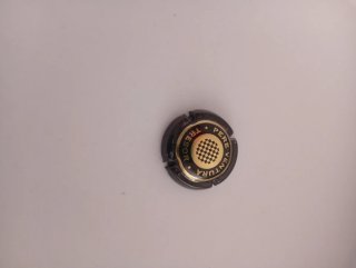 Lote 22 chapas de cava variadas