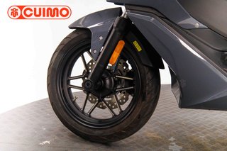 MORBIDELLI SC 300