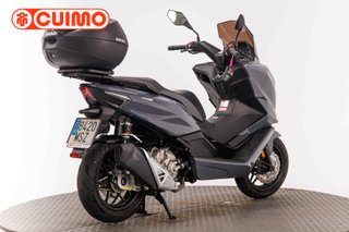 MORBIDELLI SC 300