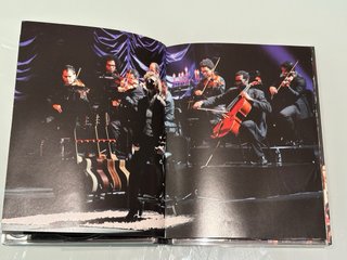David Bisbal,Una noche en el teatro real.