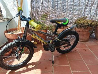 Bicicleta infantil 16 Serious