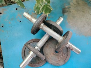 Set de 2 pesas 2.5 kg