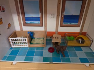 Clínica Veterinaria Playmobil