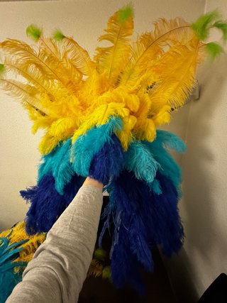 Disfraz Carnaval Río Adulto Talla Única
