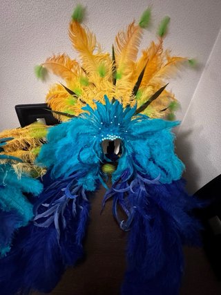 Disfraz Carnaval Río Adulto Talla Única