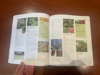 Libro plantas medicinales