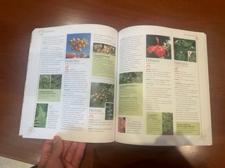 Libro plantas medicinales