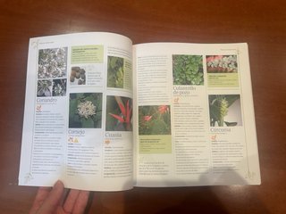 Libro plantas medicinales