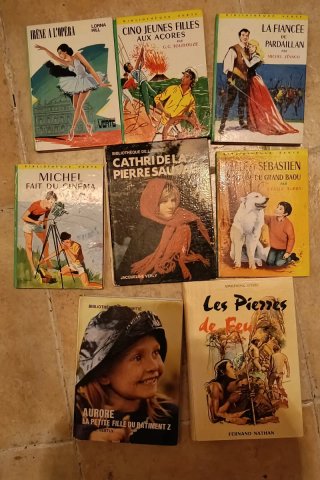 Libros en francés variados Livres en français