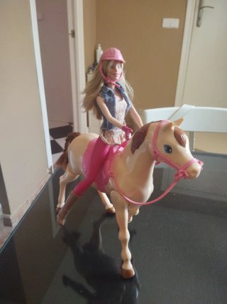 Muñeca Barbie con caballo y accesorios